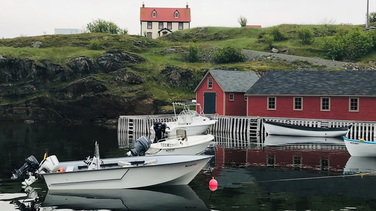 Photo of Others in Newmans Cove