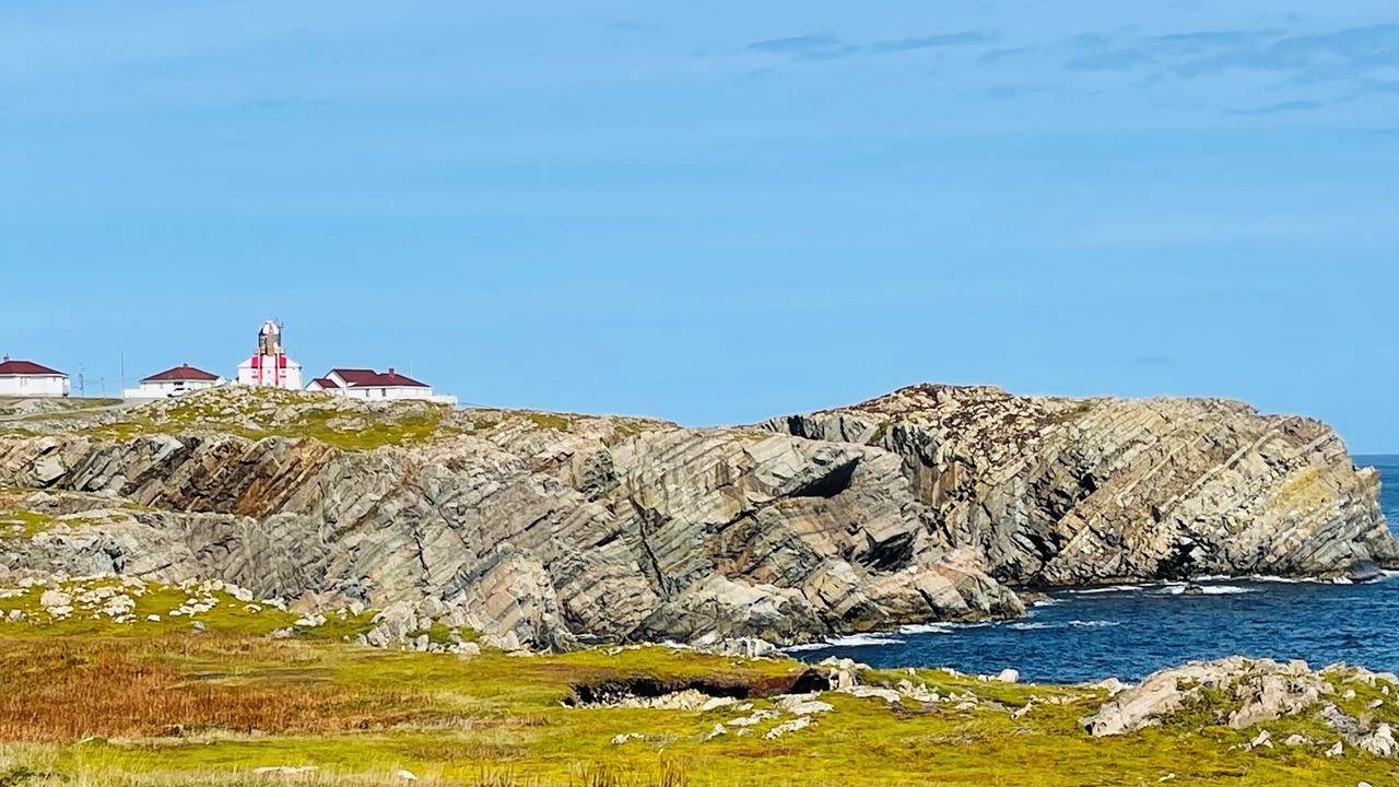 Photo of Others in Newmans Cove