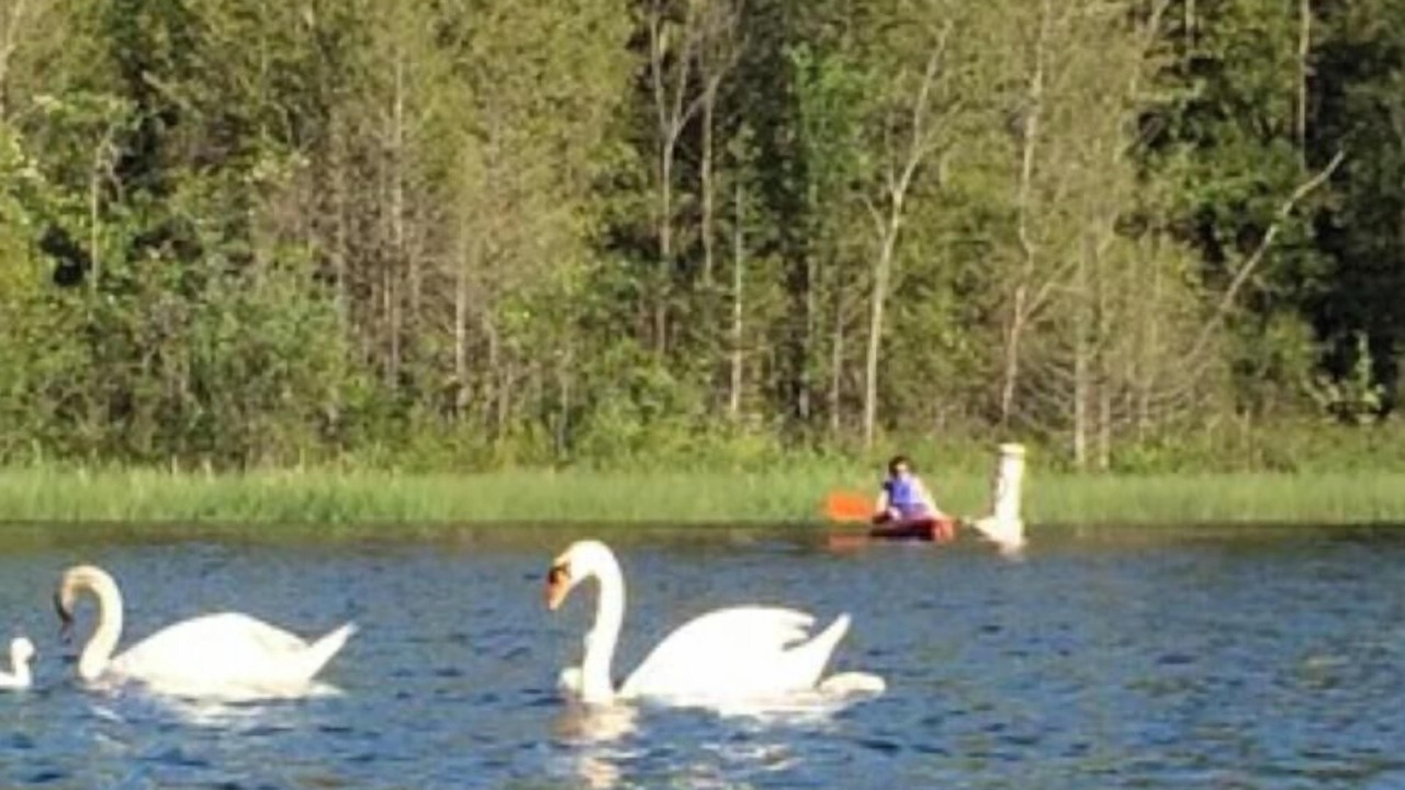 Photo of Outdoor in Central Lake