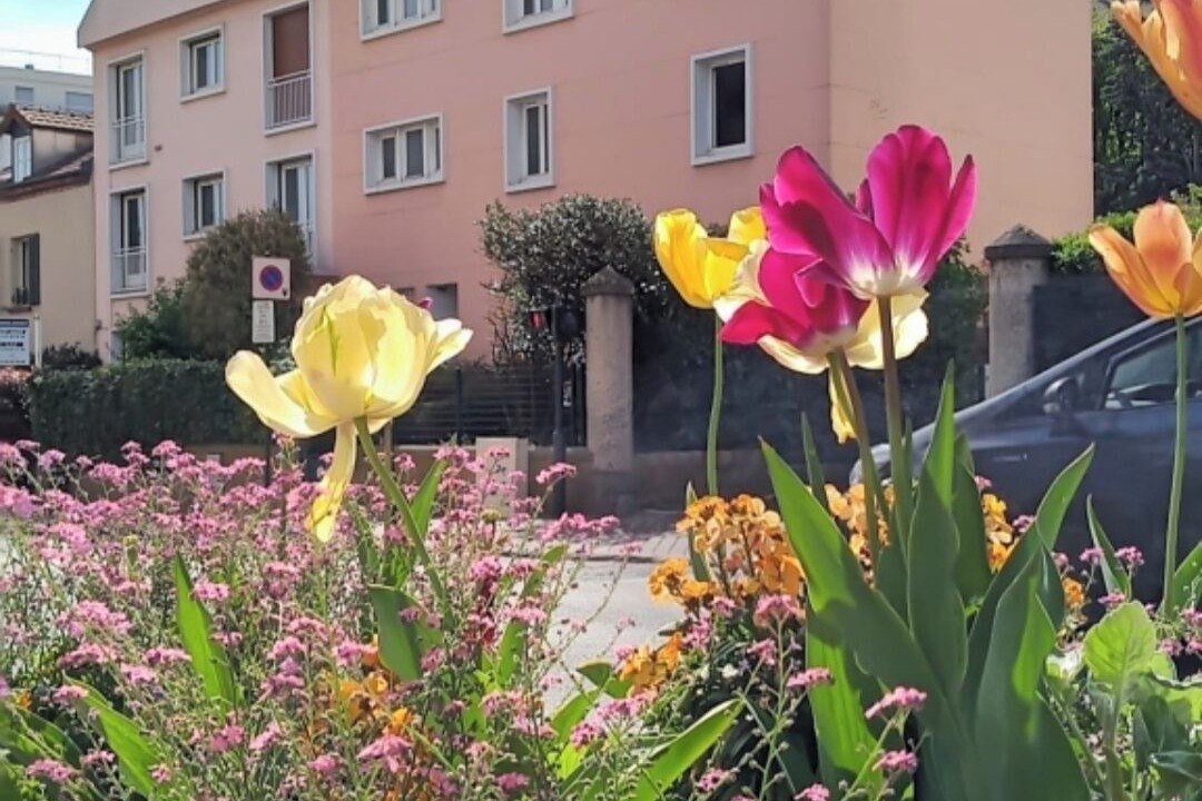 Photo of Outdoor in Clamart