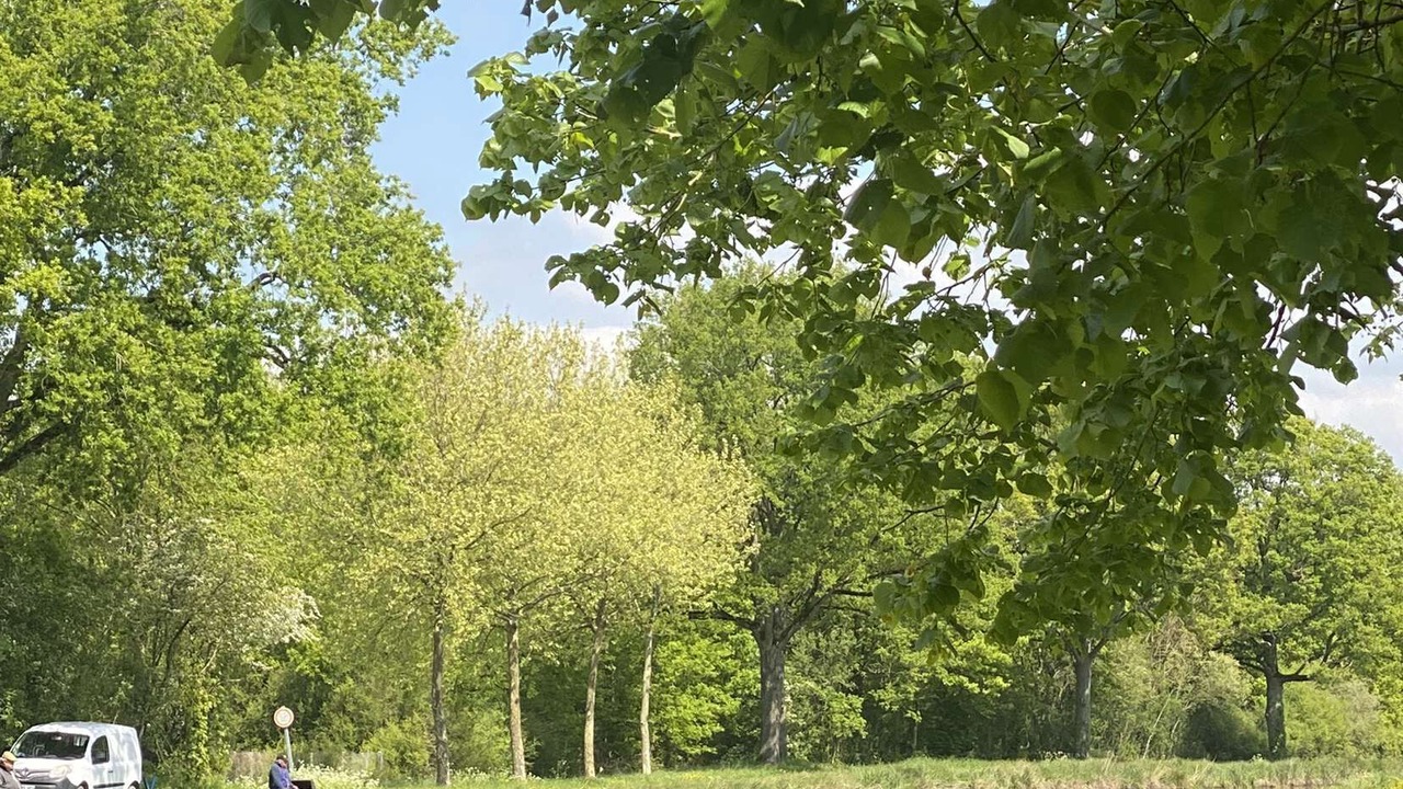 Photo of Others in Chailly-en-Gatinais