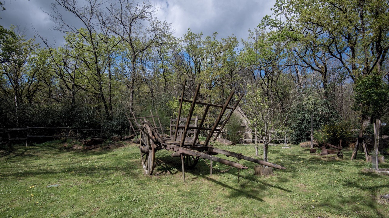 Photo of Outdoor in Les Rosiers-sur-Loire