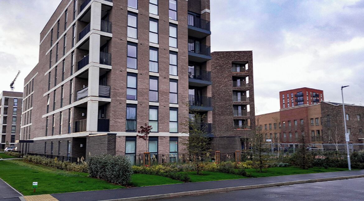 Photo of Others in River