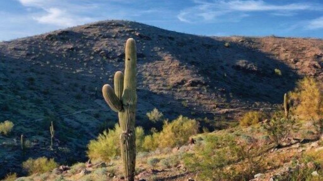 Photo of Others in Ahwatukee Foothills