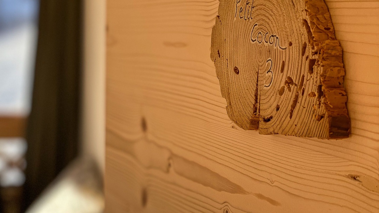 Photo of Bedroom in Entremont