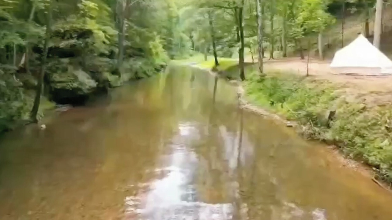 Photo of Outdoor in Nunnelly