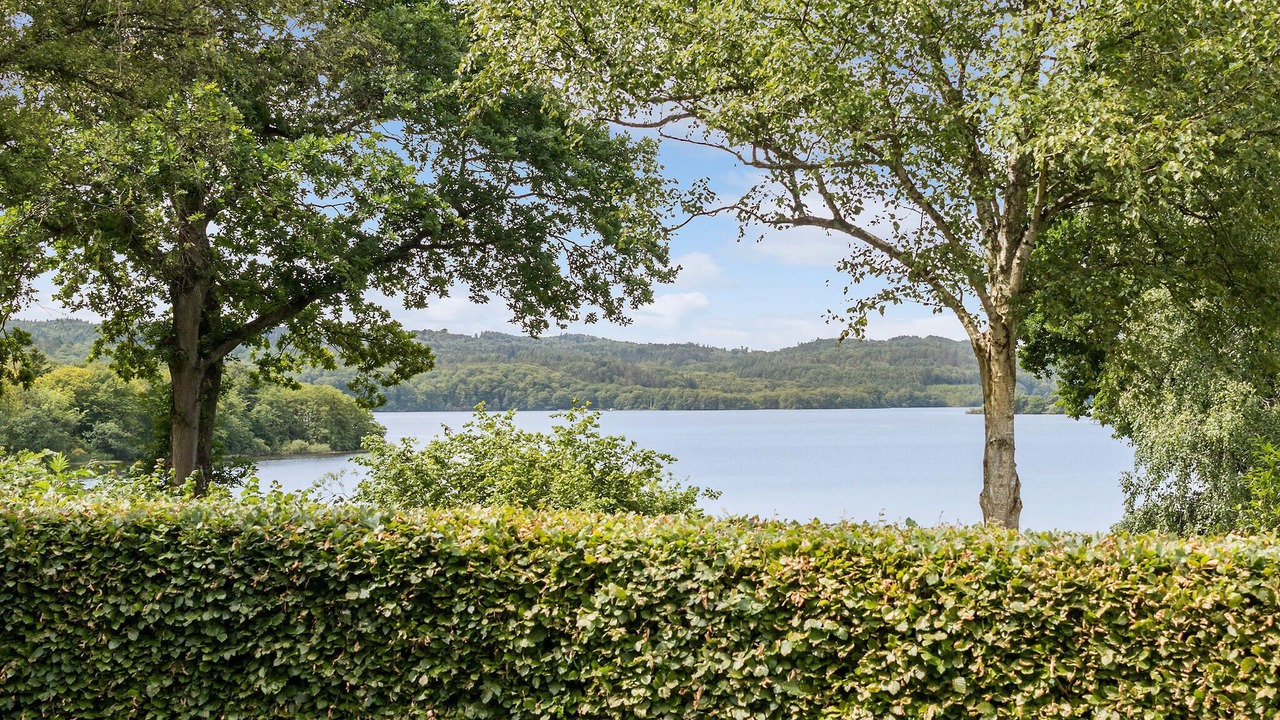 Photo of Others in Ry