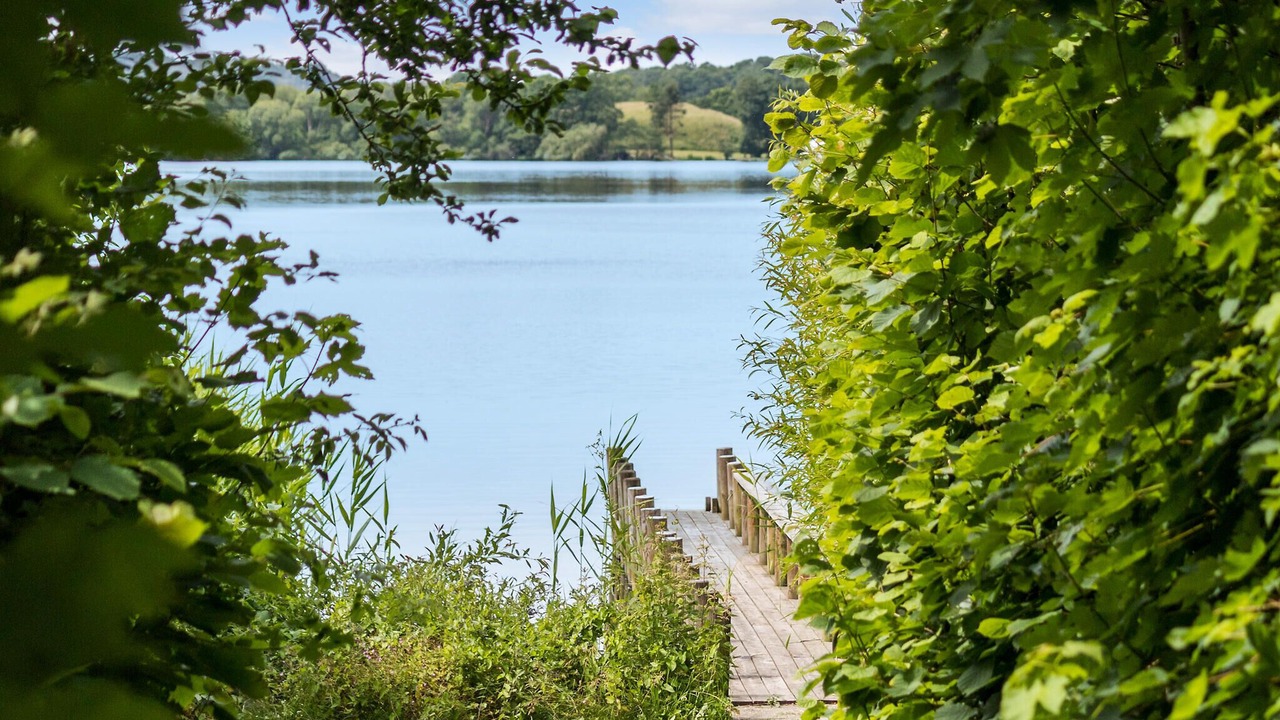 Photo of Others in Ry