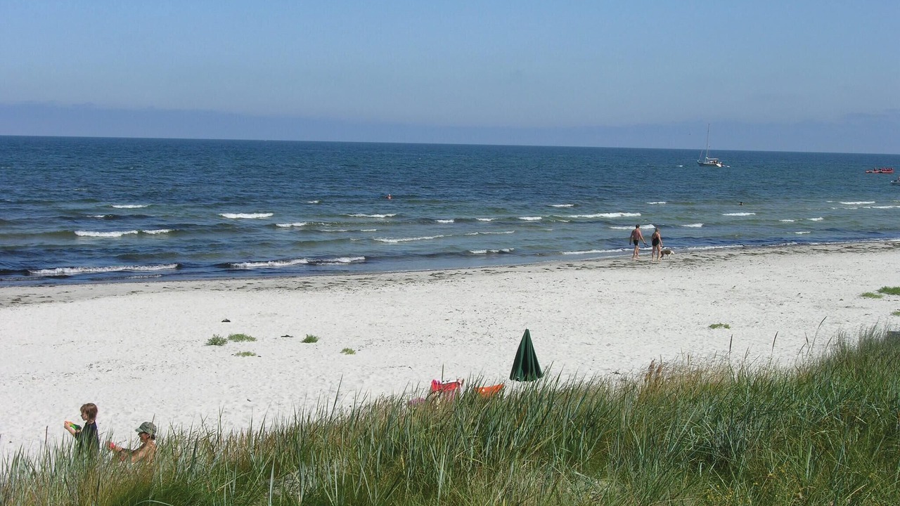 Photo of Others in Bedegaard