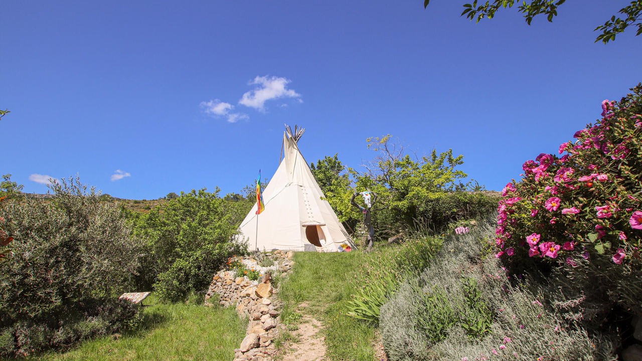 Photo of Others in Gras