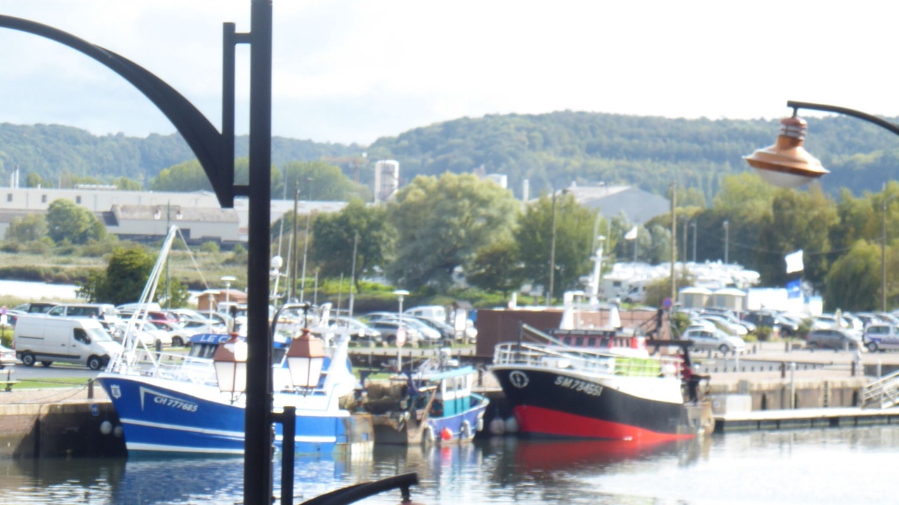Photo of Others in Honfleur
