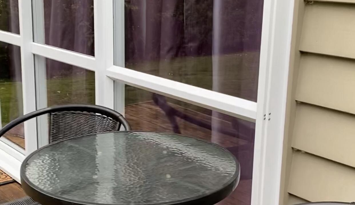 Photo of Outdoor in Kerikeri