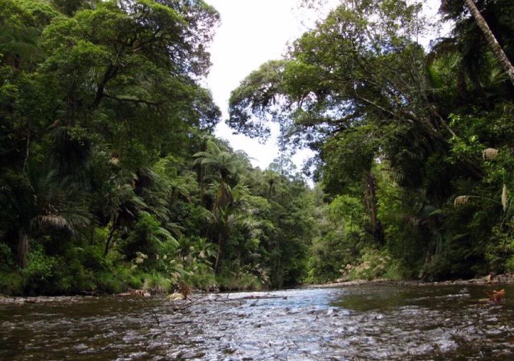 Photo of Others in Kerikeri