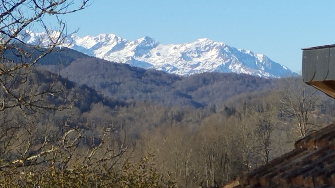 Photo of Others in Massat