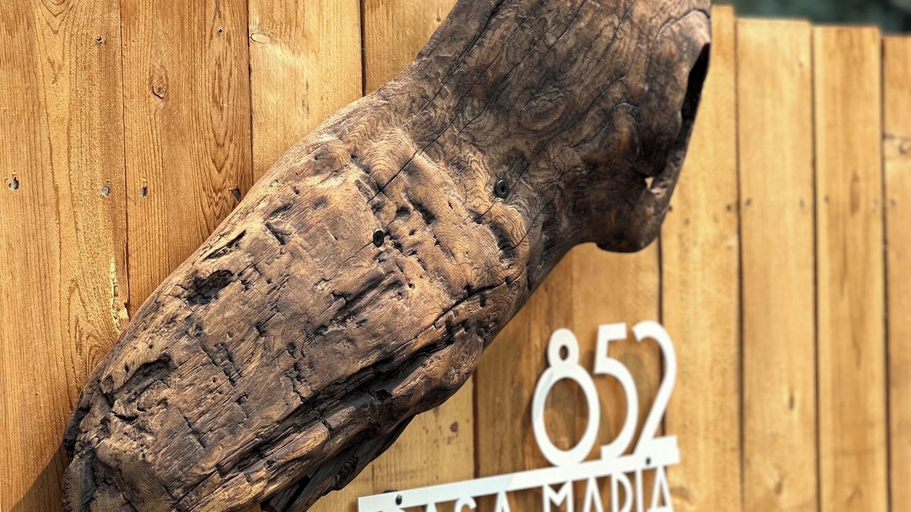 Photo of Others in Carson