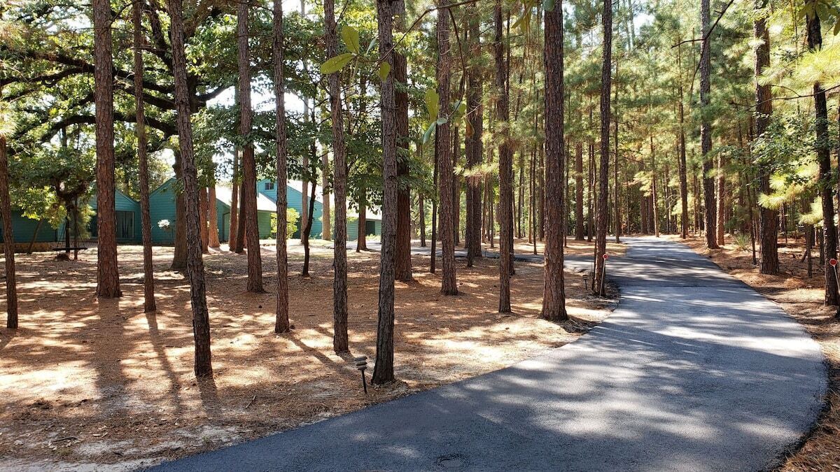 Photo of Others in Holly Lake Ranch