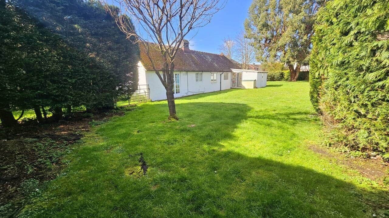 Photo of Others in Guildford