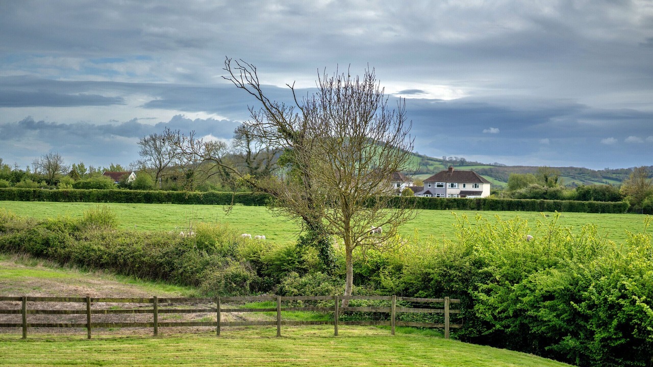 Photo of Outdoor in Lympsham