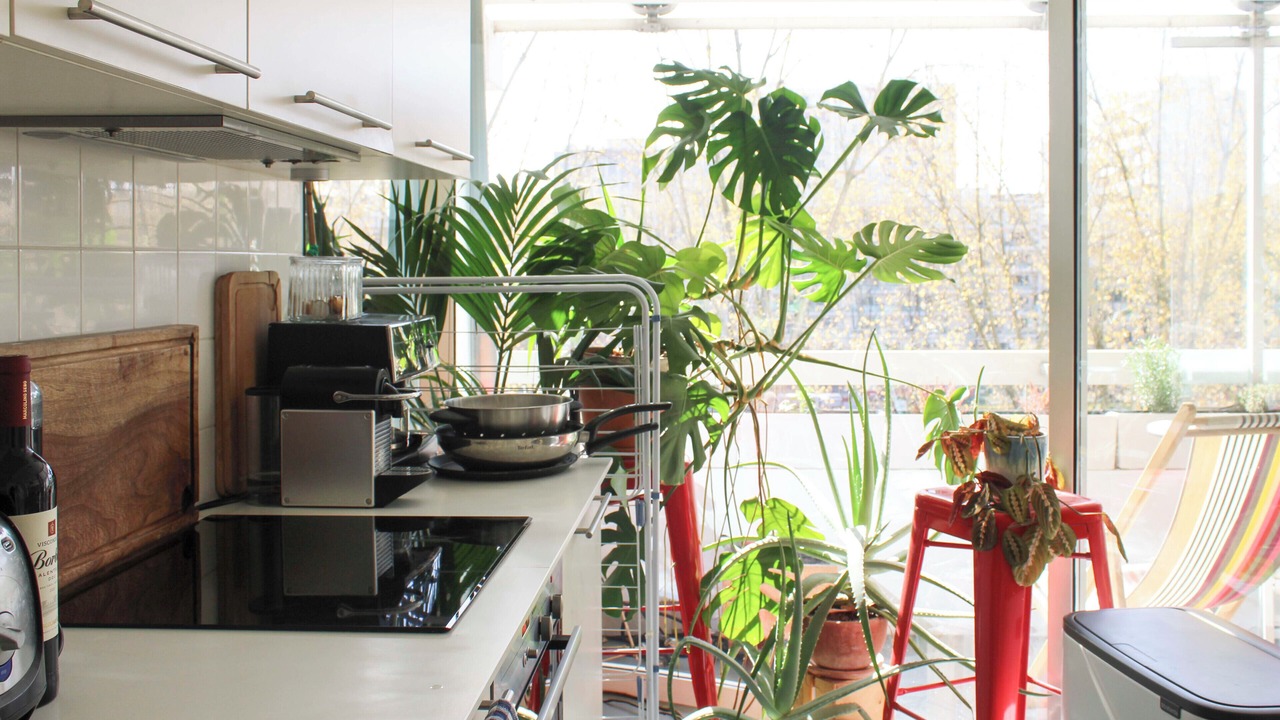 Photo of Kitchen in La Villette