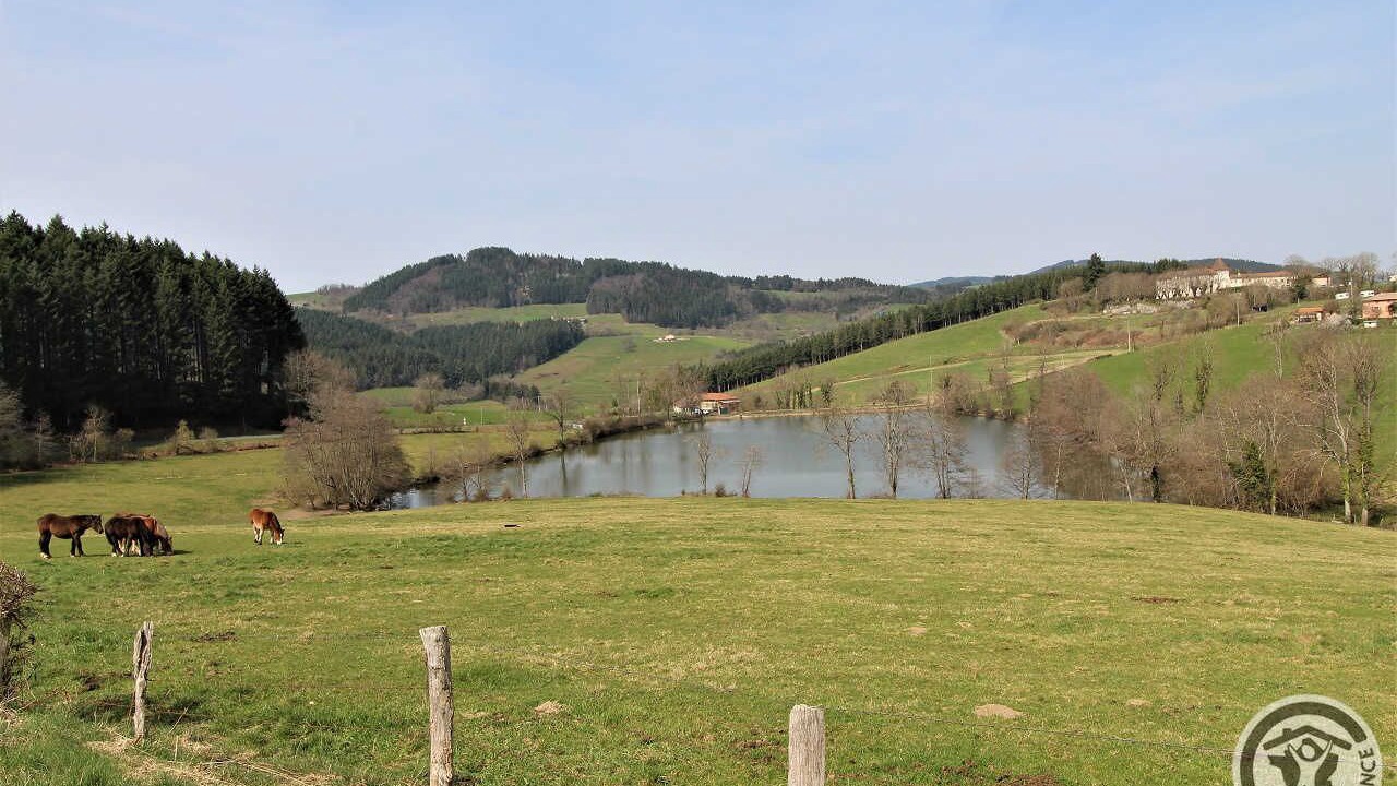 Photo of Others in Cublize