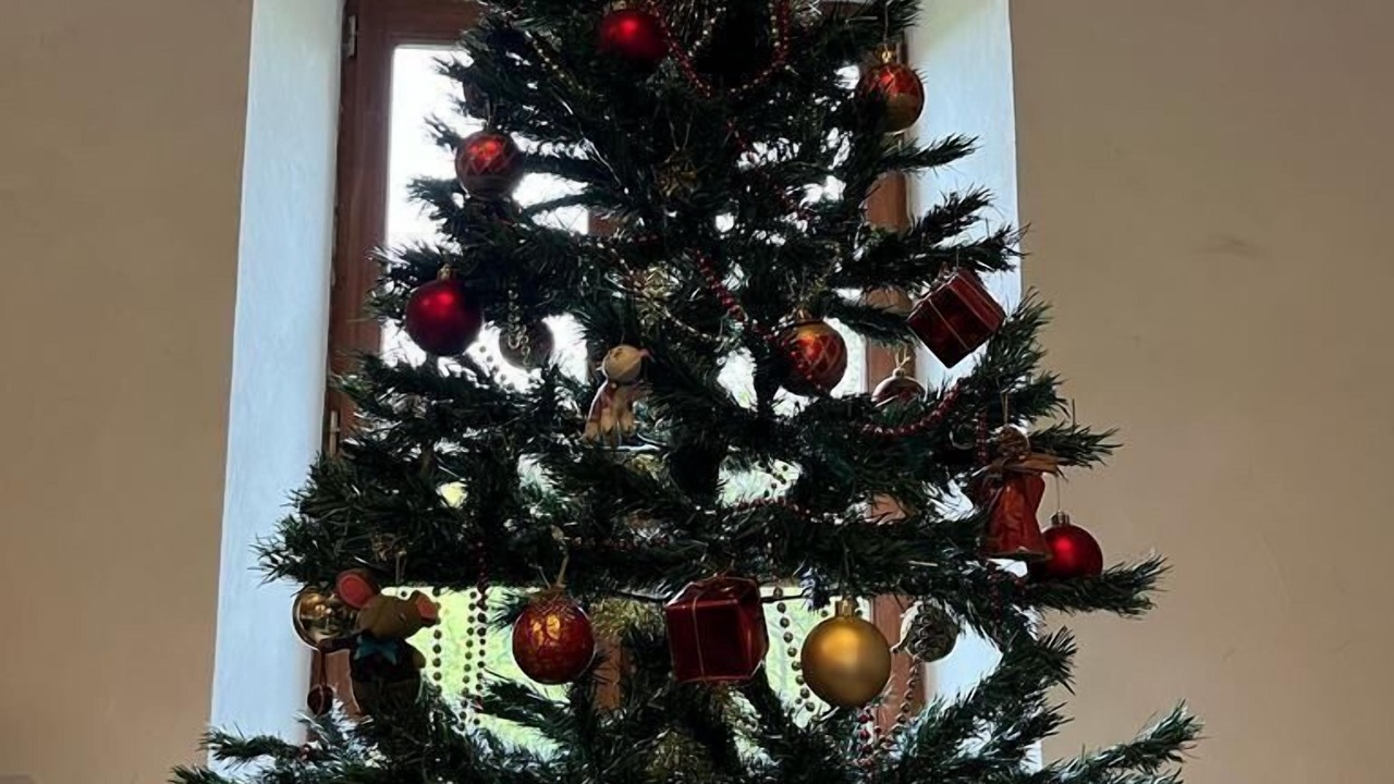 Photo of Others in Cublize