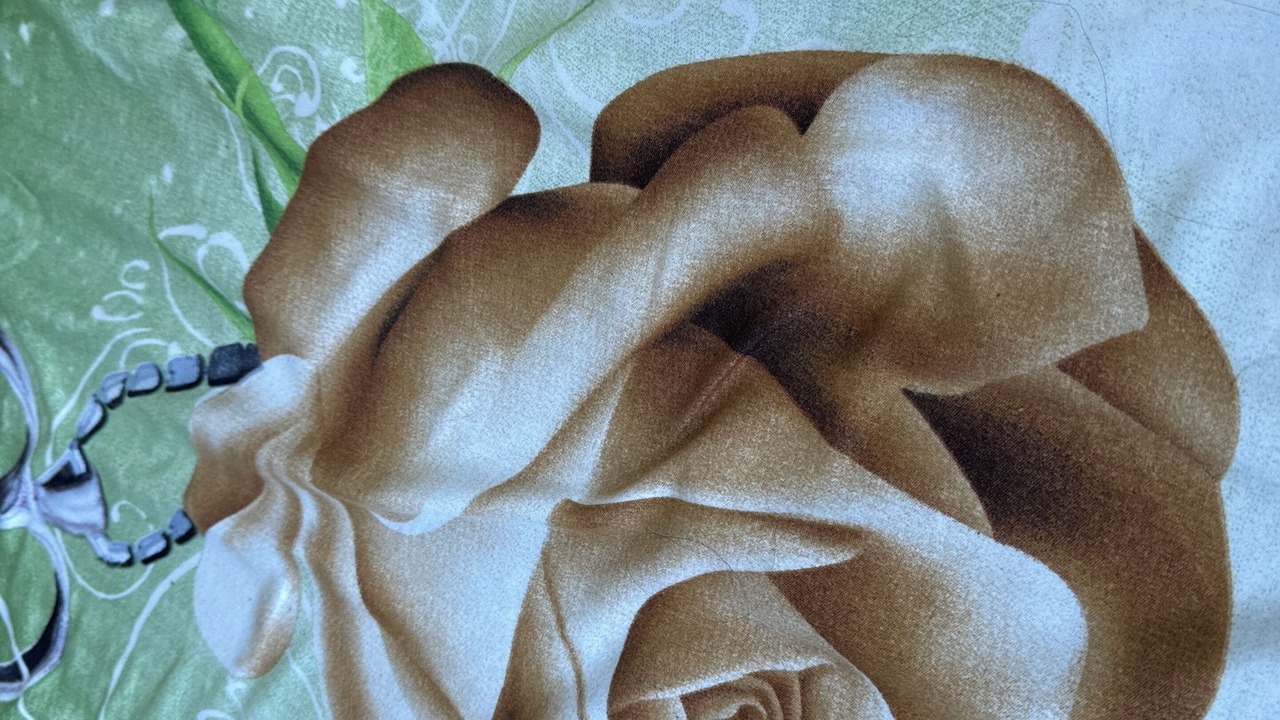 Photo of Others in North York