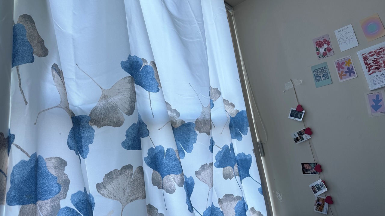 Photo of Others in North York