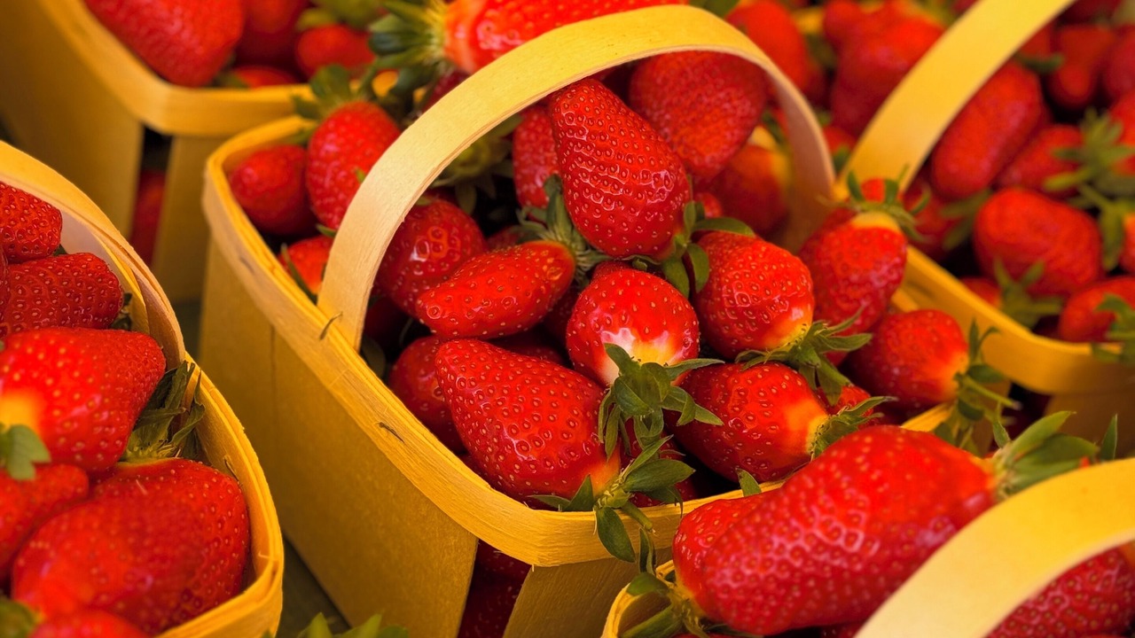 Photo of Others in Usclas-d'Herault