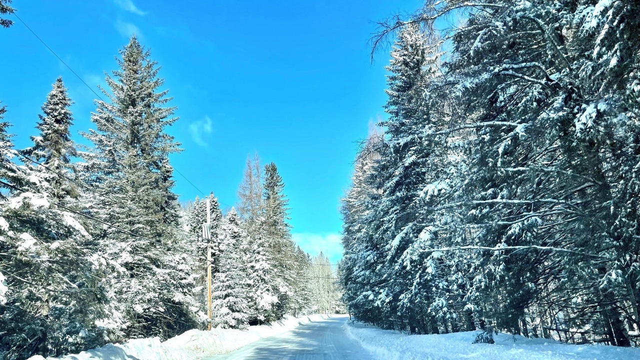 Photo of Others in Sainte-Marguerite-du-Lac-Masson