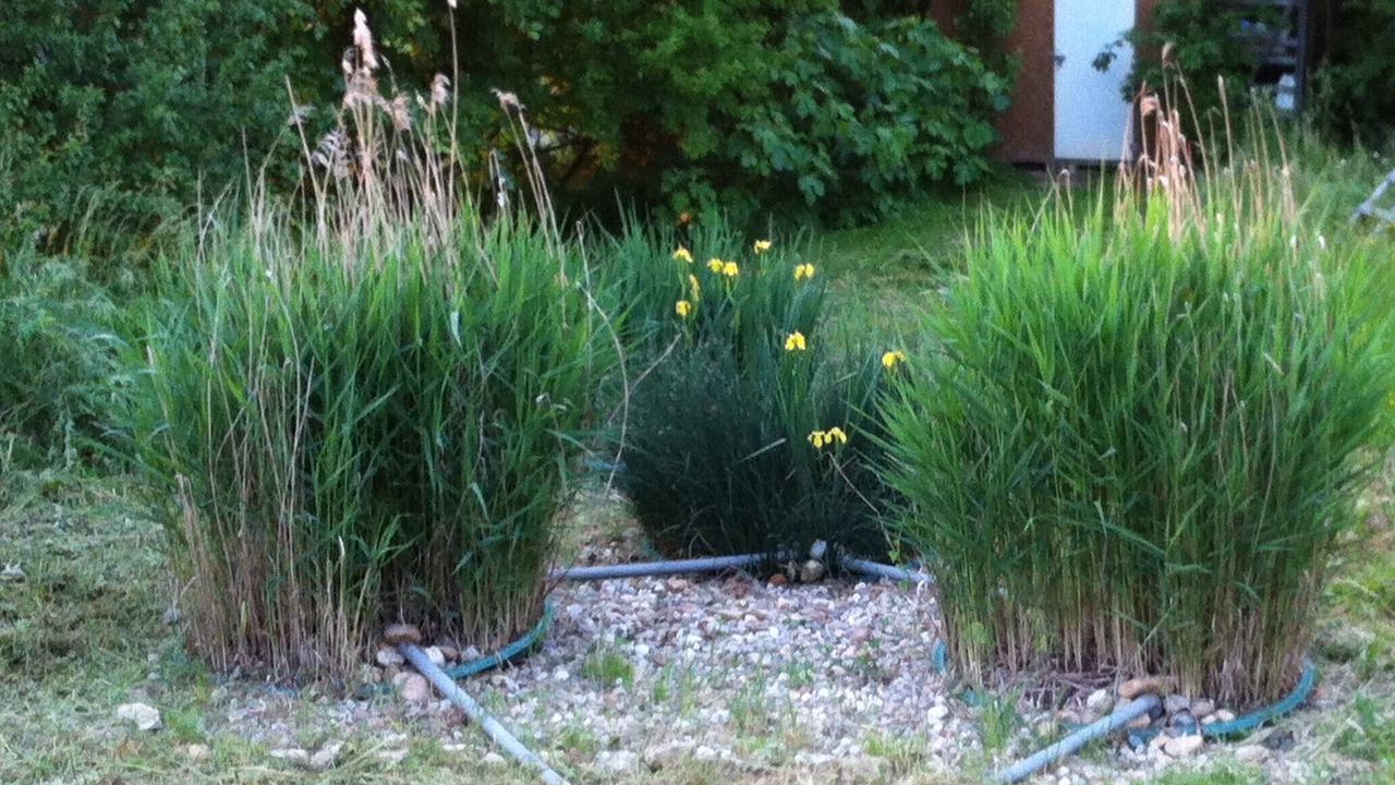 Photo of Outdoor in Marzens