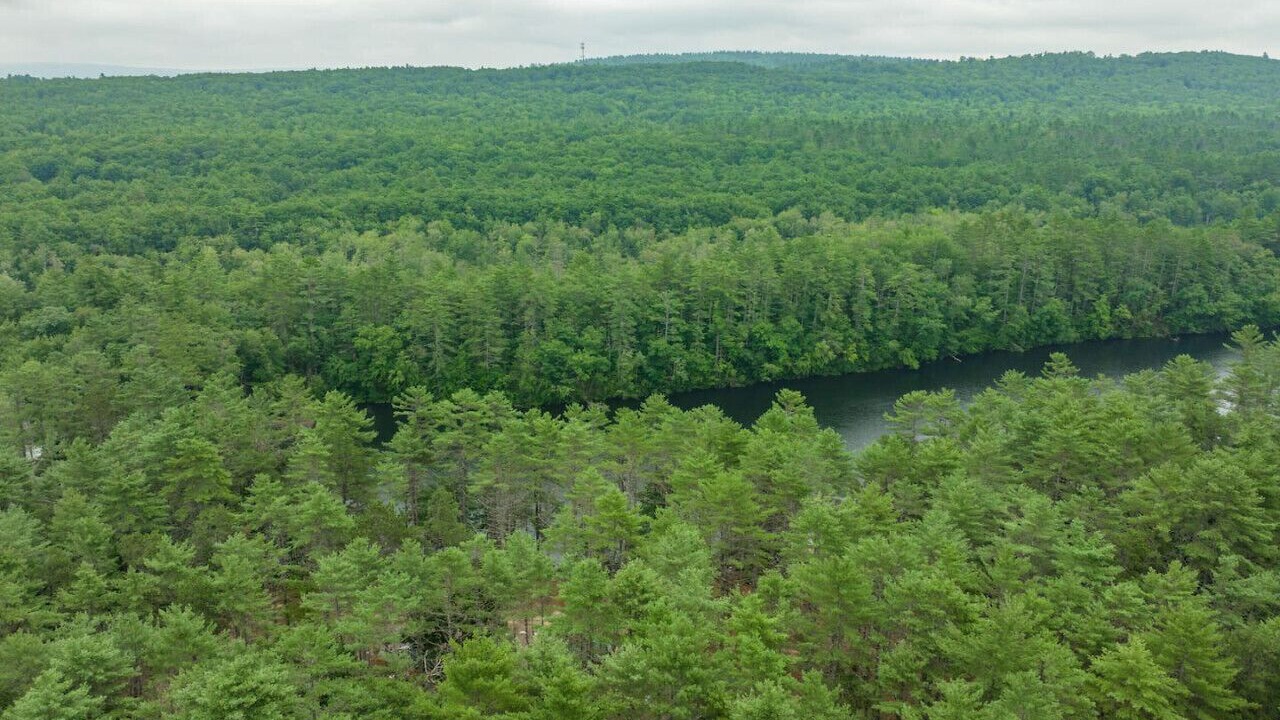 Photo of Others in Oxford