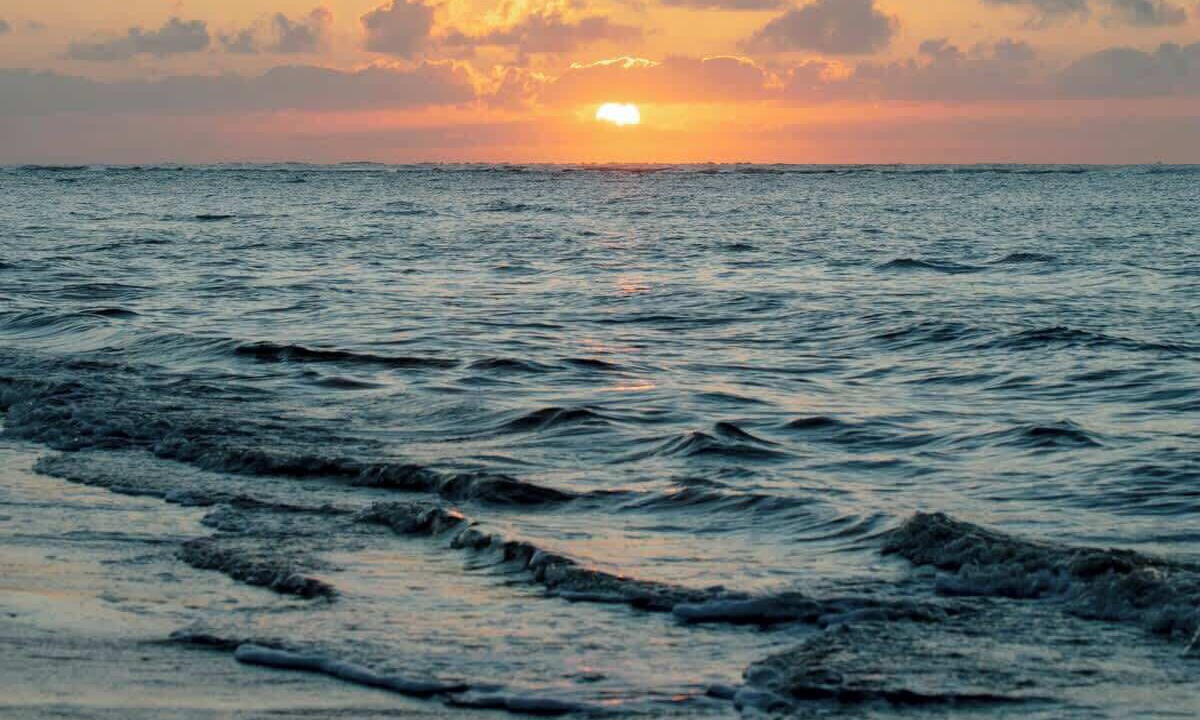 Photo of Others in Brunswick