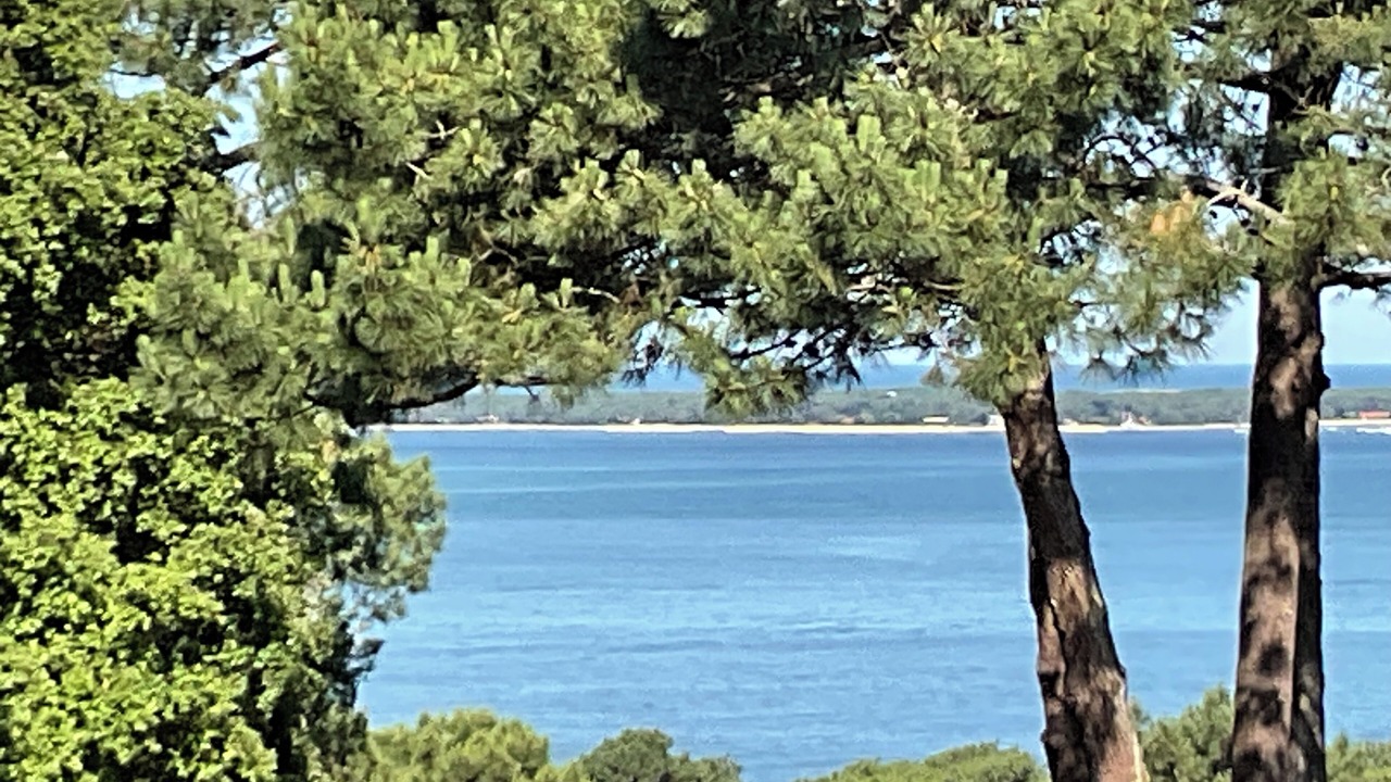 Photo of Others in Pyla-sur-Mer