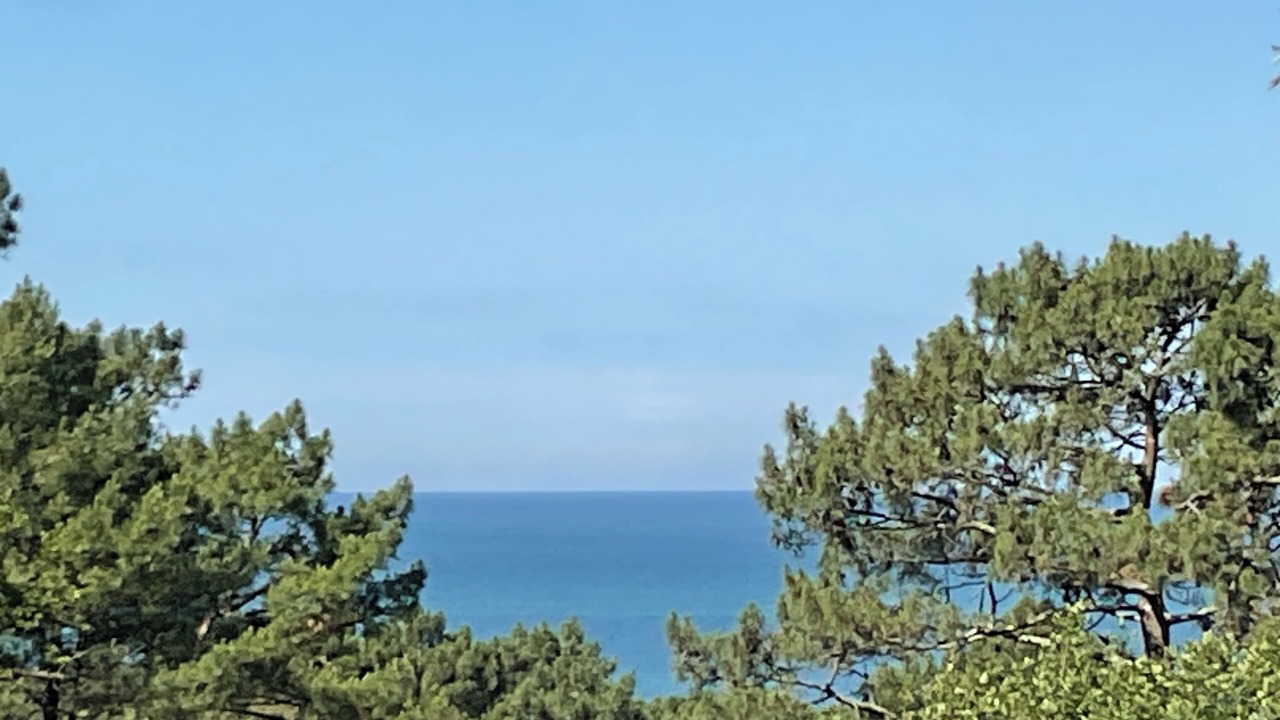 Photo of Others in Pyla-sur-Mer