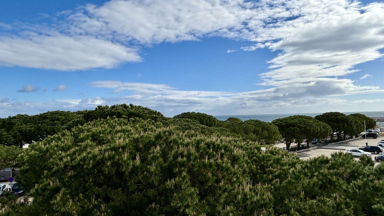 Photo of Others in Plage d'Argeles