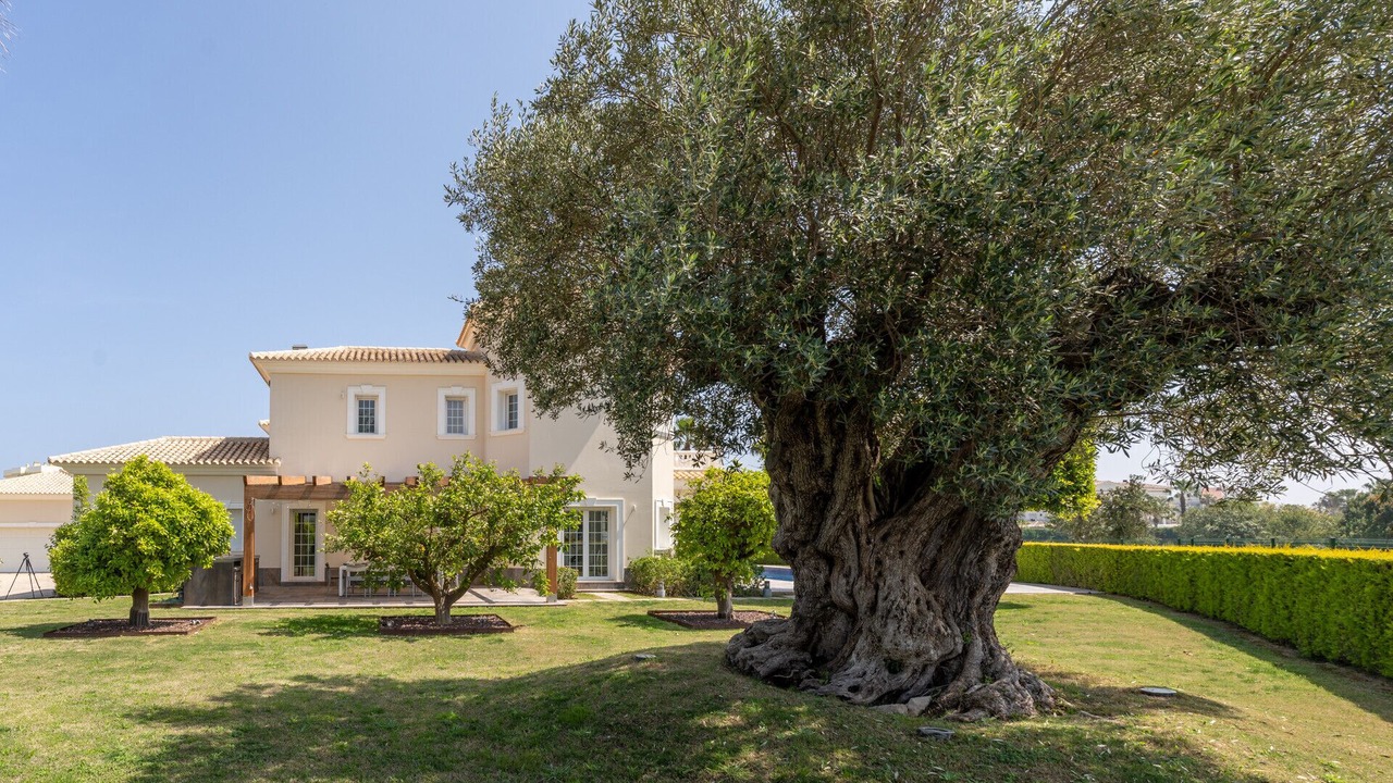 Photo of Outdoor in Molinell