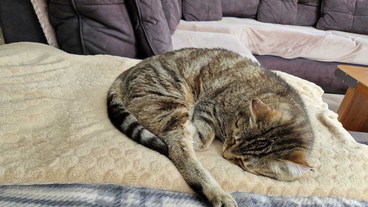 Photo of Others in Orsay