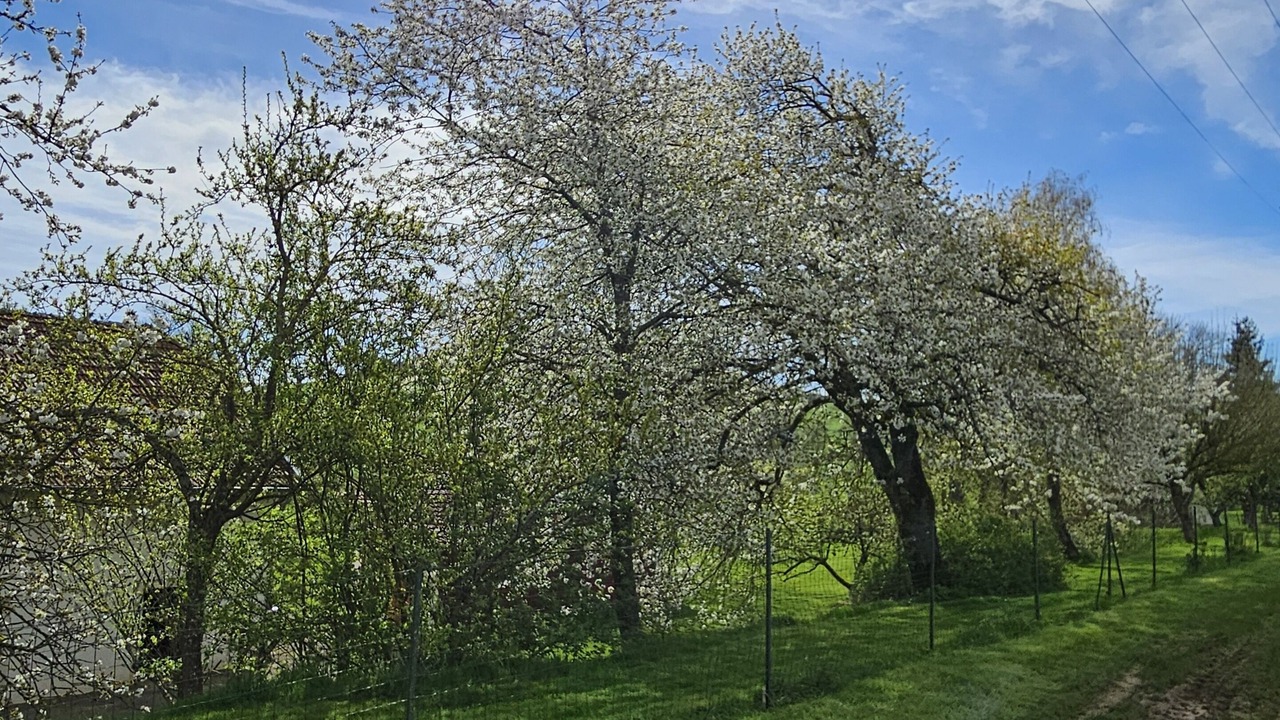 Photo of Others in Sommerecourt