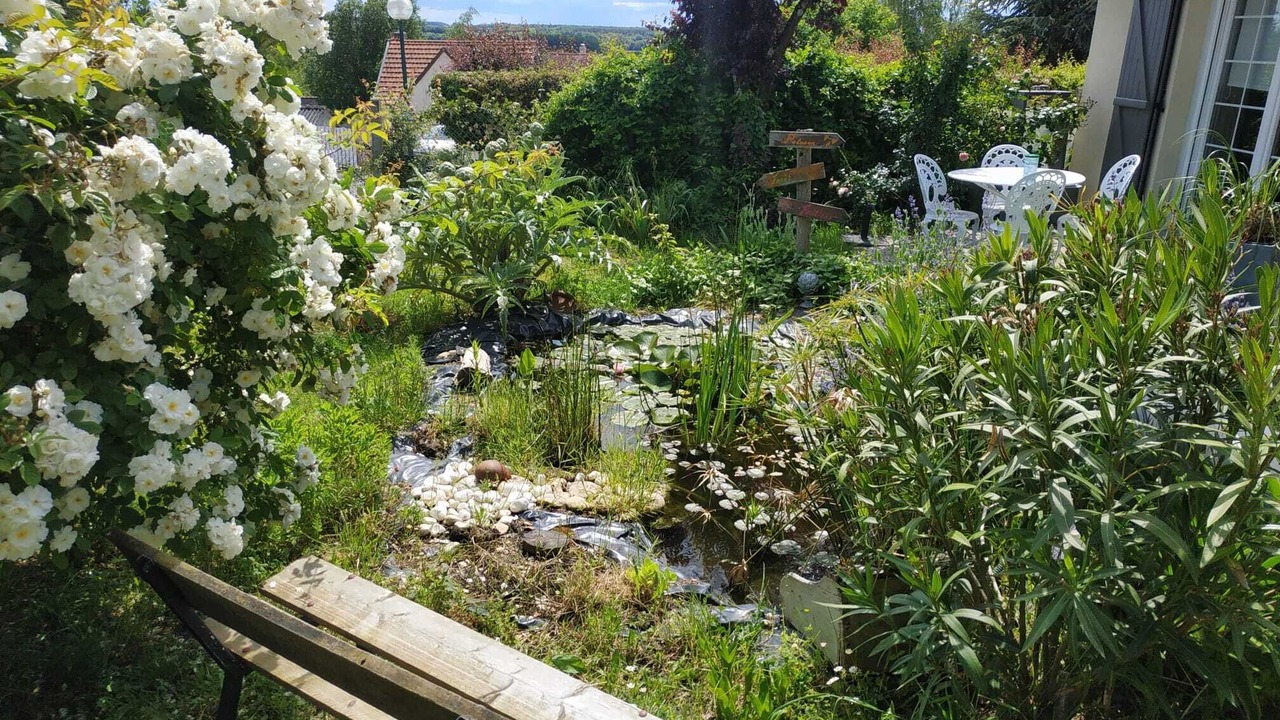 Photo of Outdoor in Saint-Martin-le-Beau