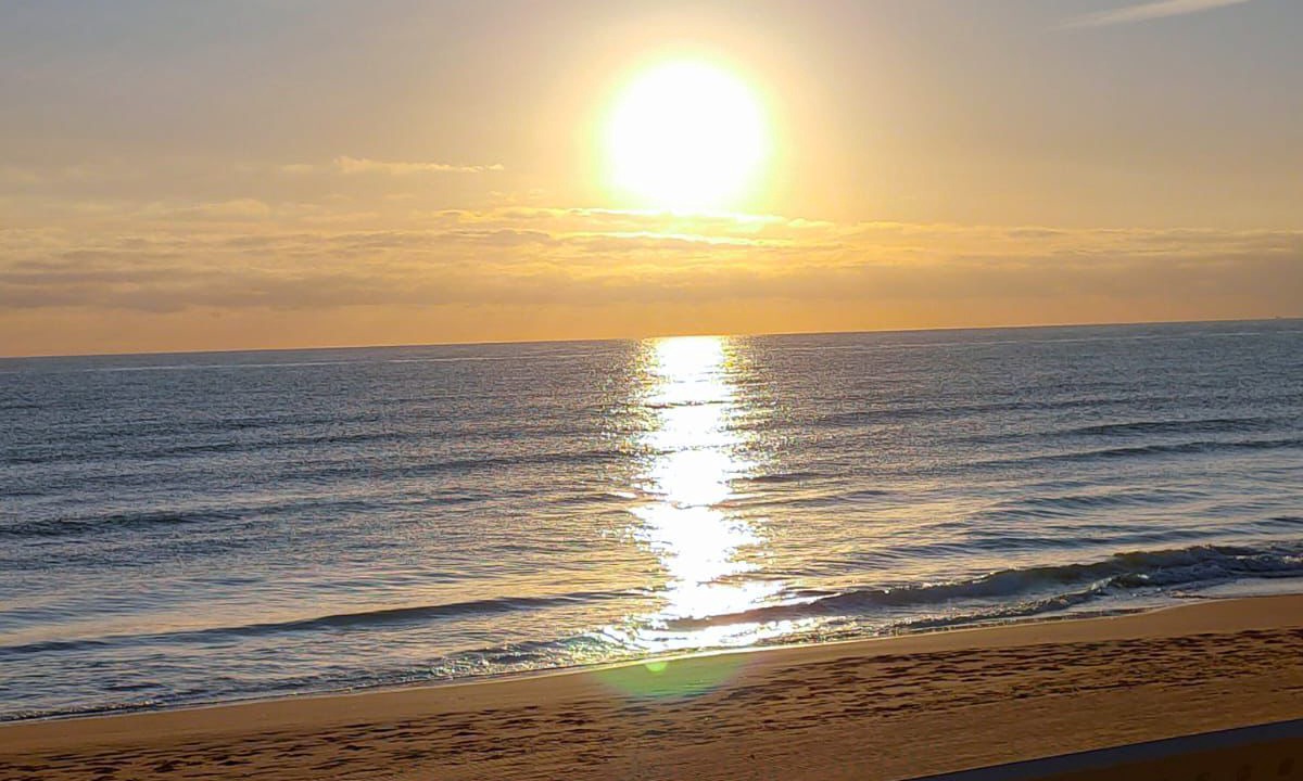 Photo of Others in Platja de Piles