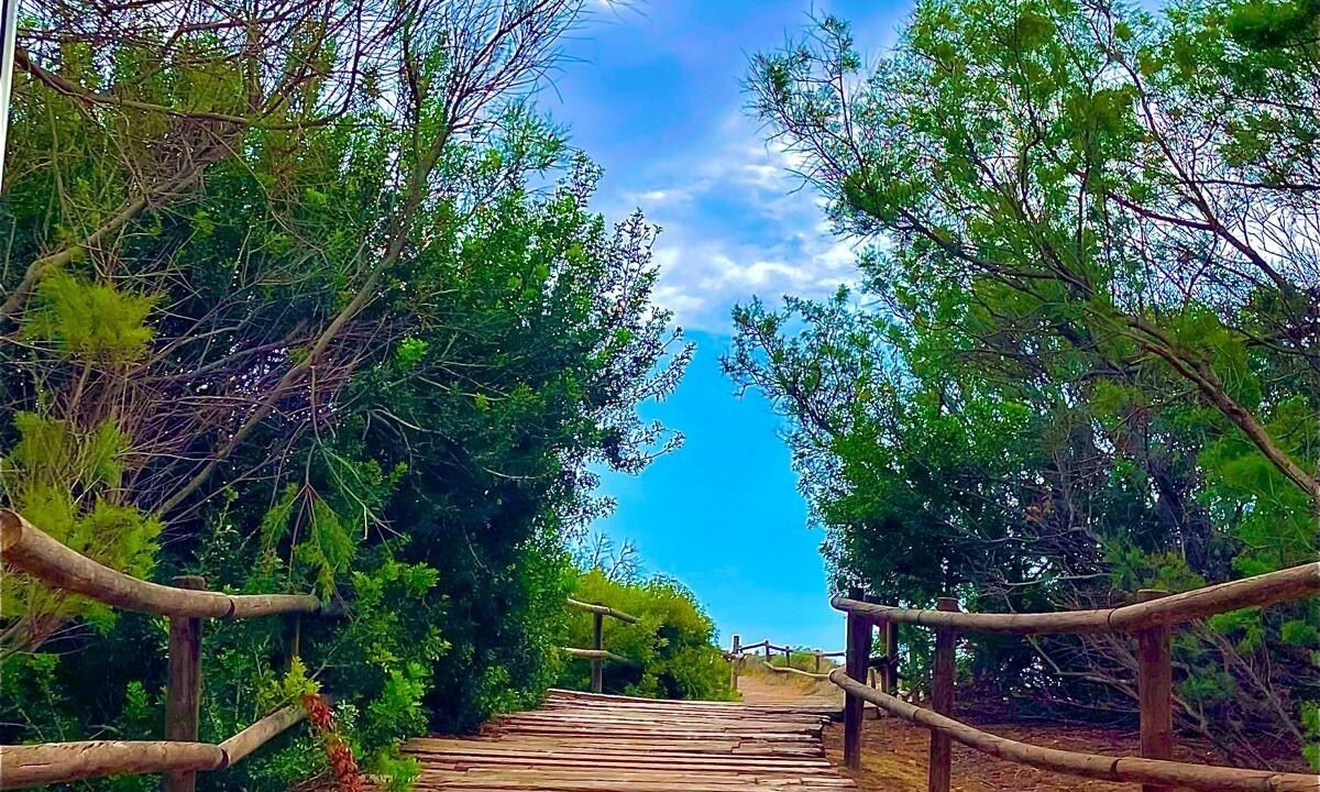 Photo of Outdoor in Platja de Piles