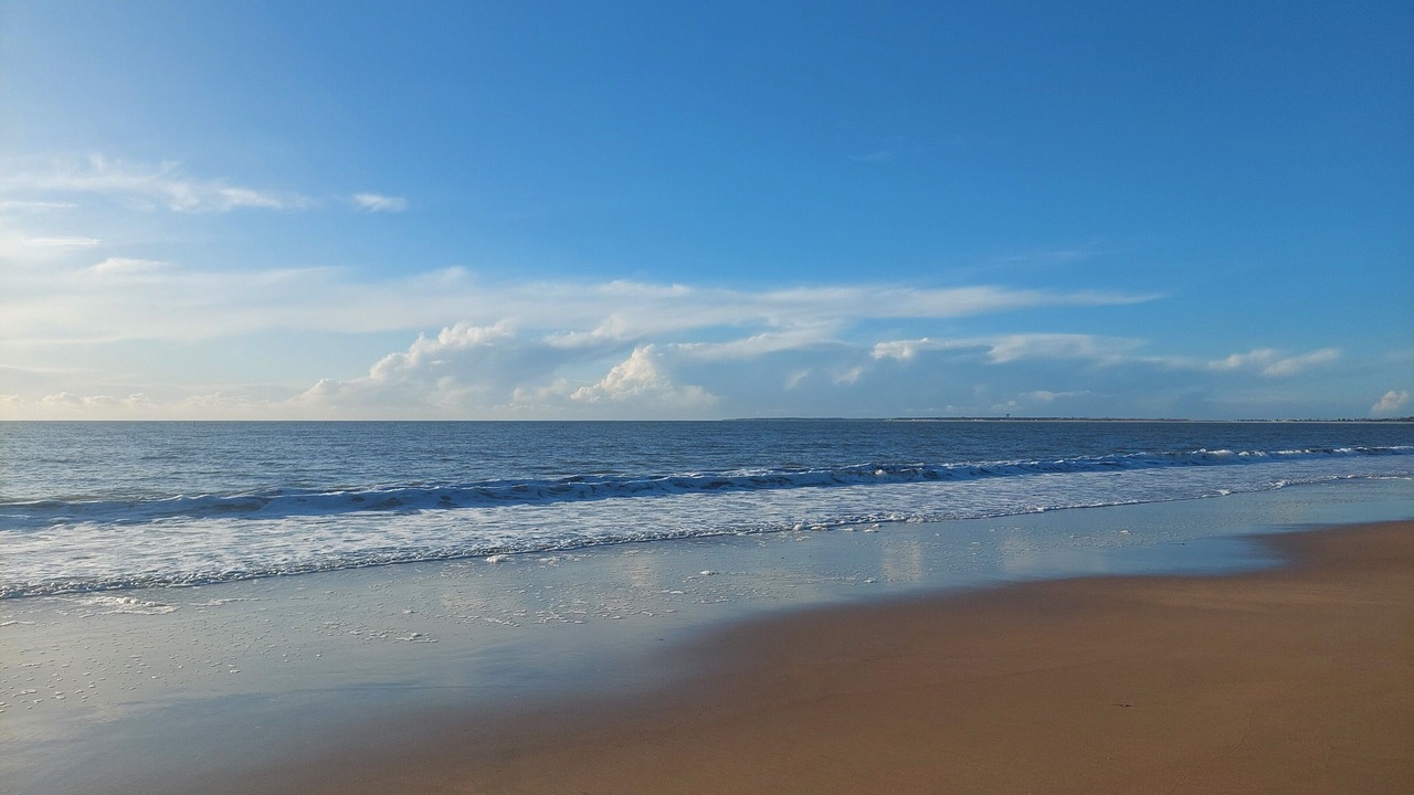 Photo of Others in Saint-Michel-en-l'Herm