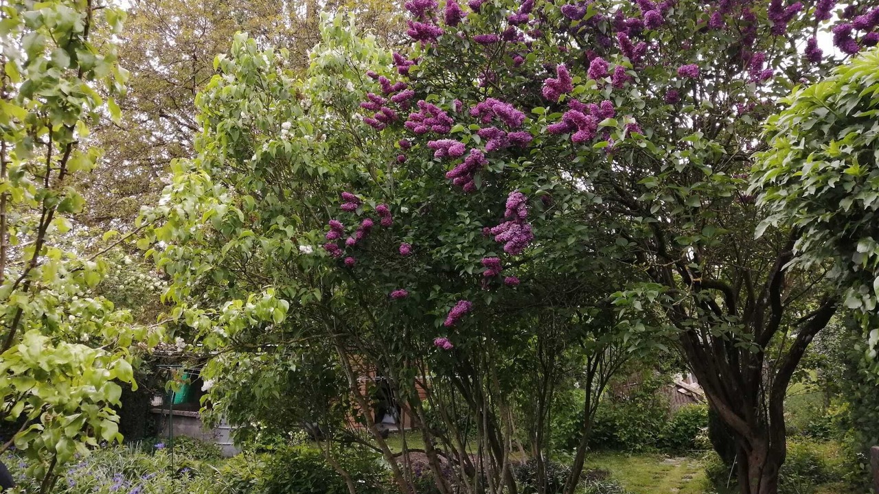 Photo of Outdoor in Bonnebosq