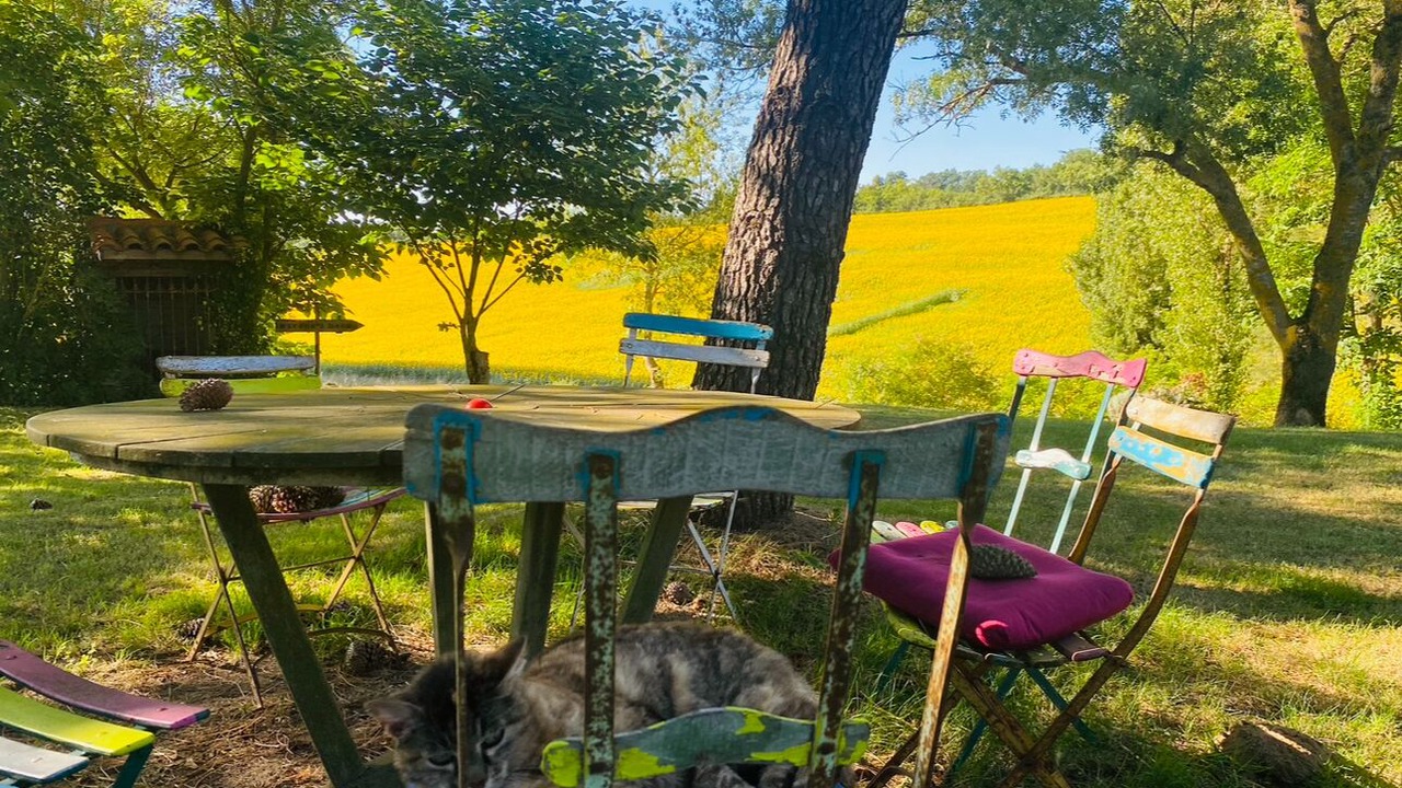 Photo of Outdoor in Caraman