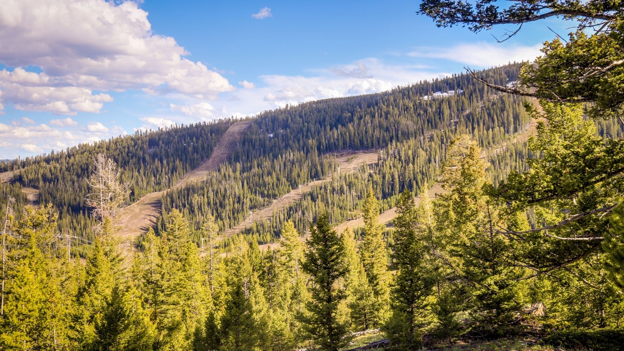 Photo of Others in Big Horn