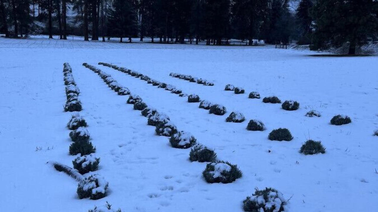 Photo of Others in Dayton