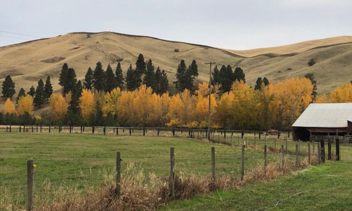 Photo of Others in Dayton