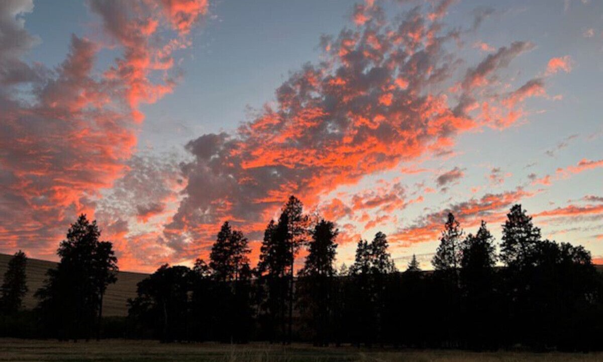 Photo of Others in Dayton