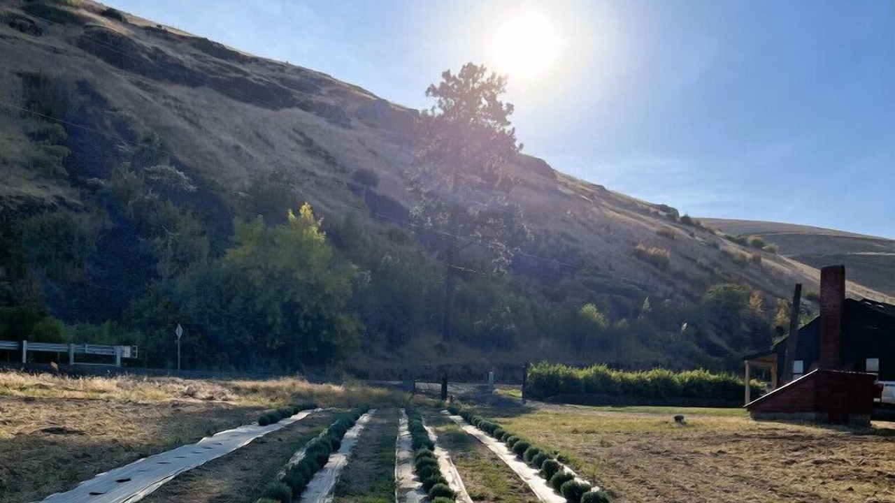 Photo of Others in Dayton