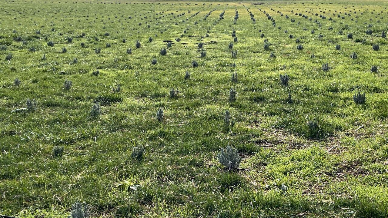 Photo of Others in Dayton